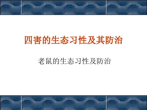 老鼠的生态习性及其防治讲