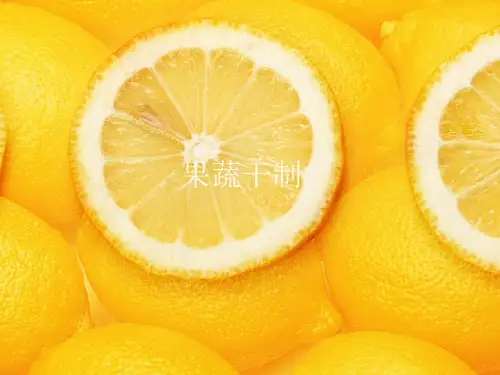 食品工艺学 干制