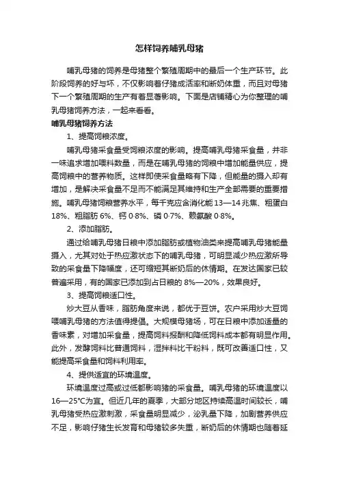 怎样饲养哺乳母猪