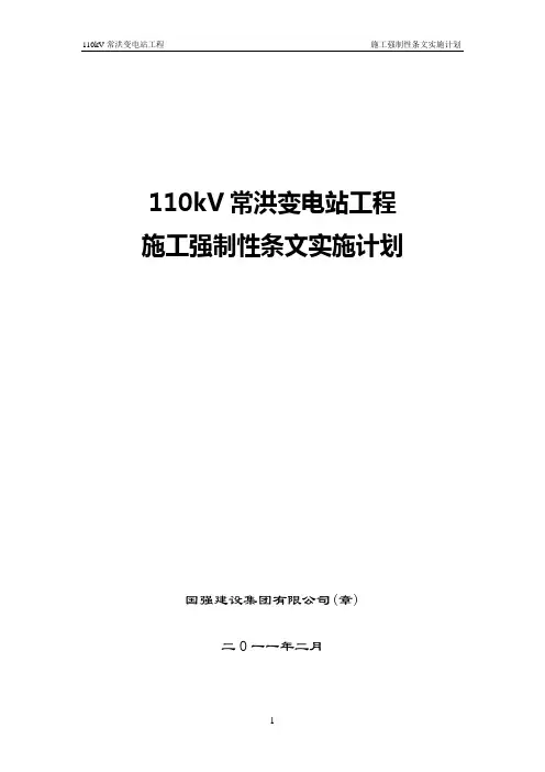 施工强制性条文实施计划