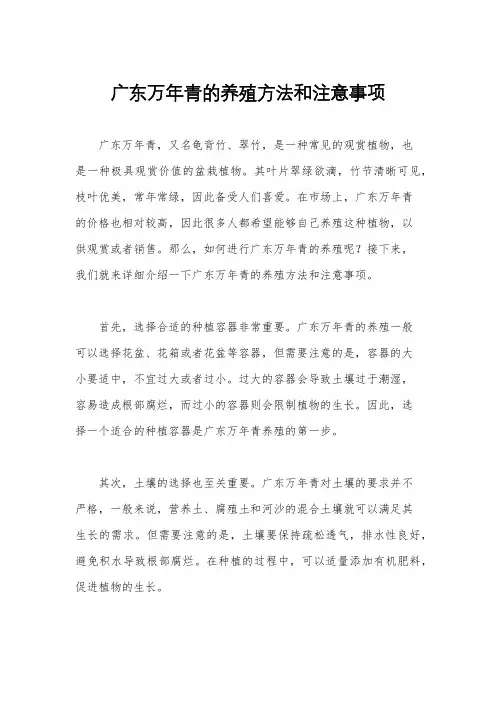 广东万年青的养殖方法和注意事项