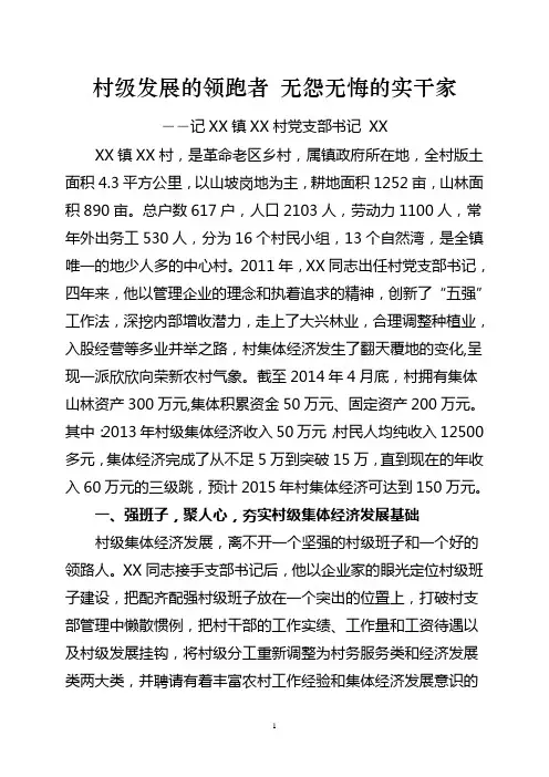 发展村集体经济支部书记典型材料