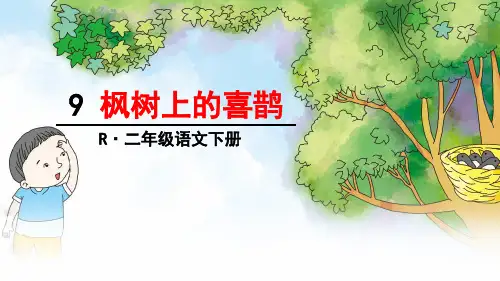 部编人教版语文二年级下册第9课《枫树上的喜鹊》优秀课件