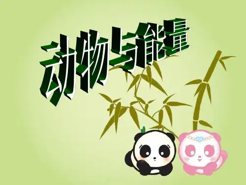 (六上)科学优秀课件-10 动物与能量｜ 冀教版 PPT(15页)