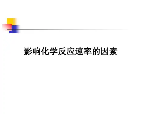 影响化学反应速率的因素PPT课件