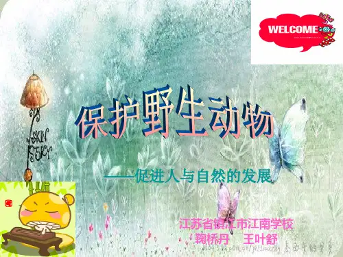 保护丹顶鹤ppt