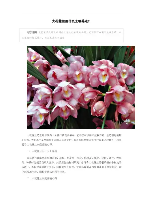 大花蕙兰用什么土壤养殖