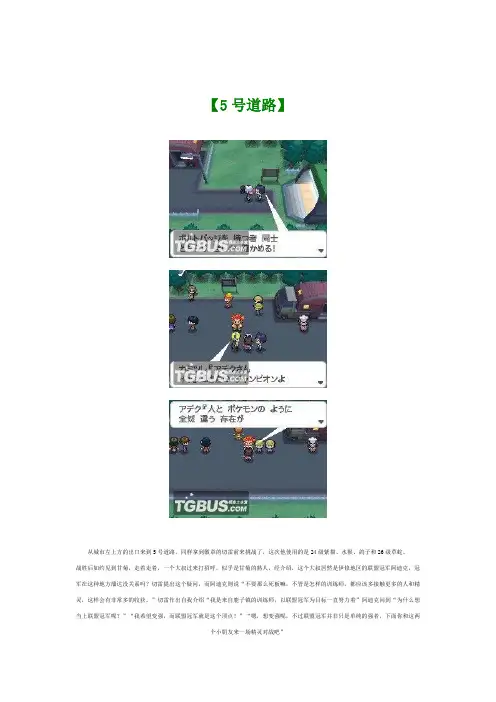 口袋妖怪黑白攻略 2