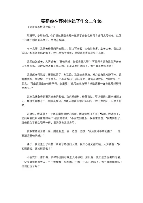 要是你在野外迷路了作文二年级