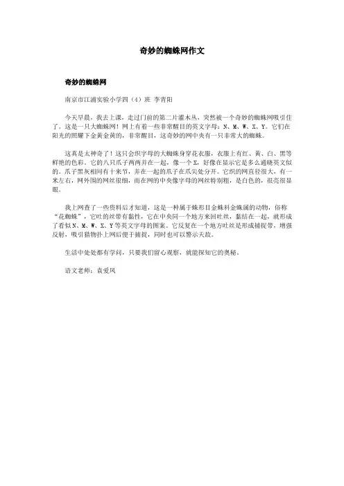 奇妙的蜘蛛网作文