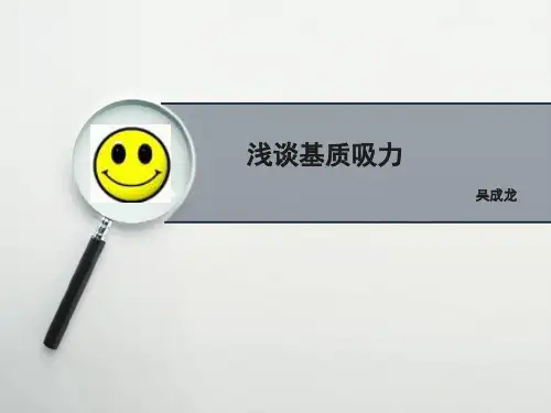 基质吸力--赵纪飞