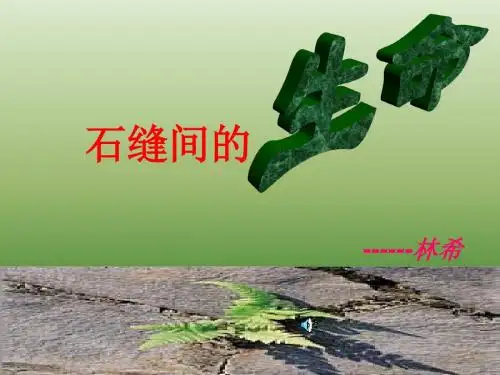语文：1.2《石缝间的生命》课件(1)(语文版九年级下册)