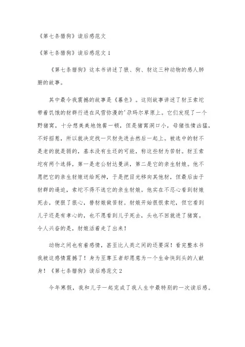 《第七条猎狗》读后感范文
