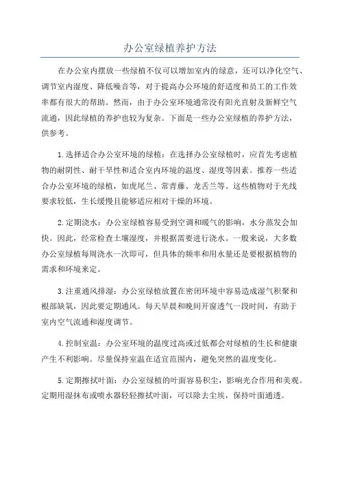 办公室绿植养护方法