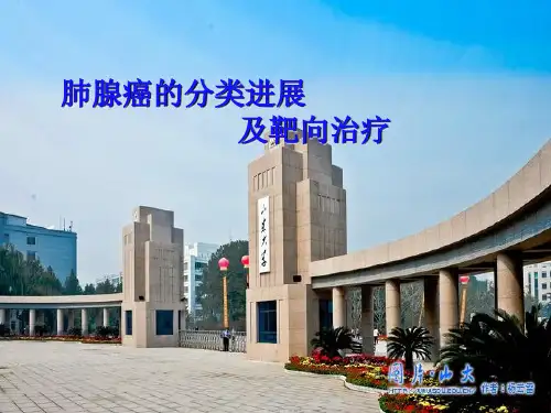 肺腺癌的分类进展 ppt课件