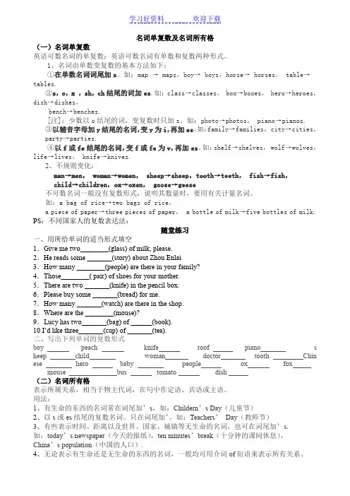 名词单复数及名词所有格