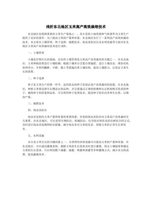 浅析东北地区玉米高产高效栽培技术