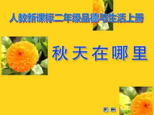 《秋天在哪里》金色的秋天PPT课件 (共20张PPT)