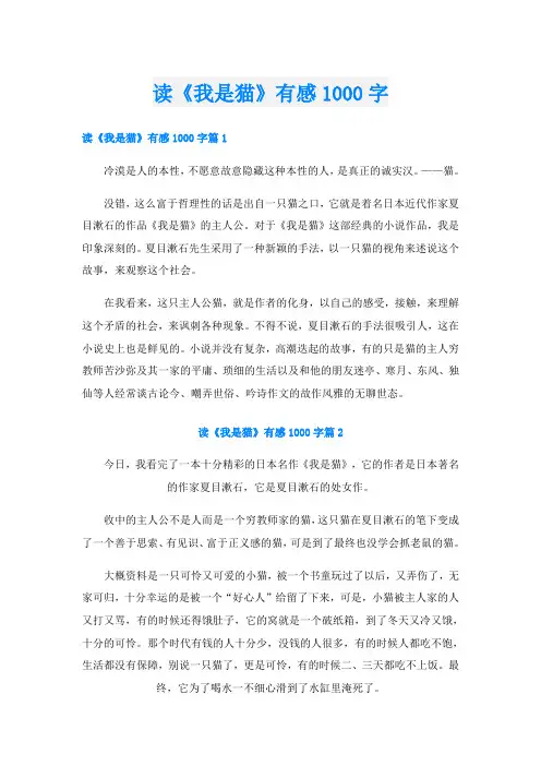 读《我是猫》有感1000字