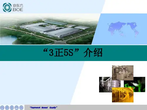 3正5S介绍精品PPT课件