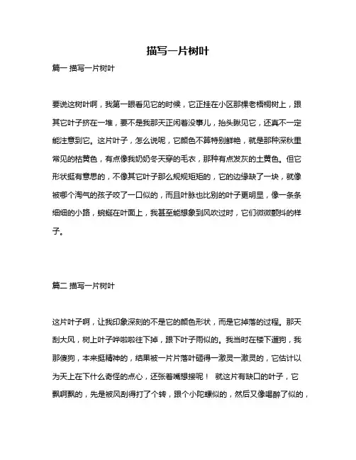 作文《描写一片树叶》