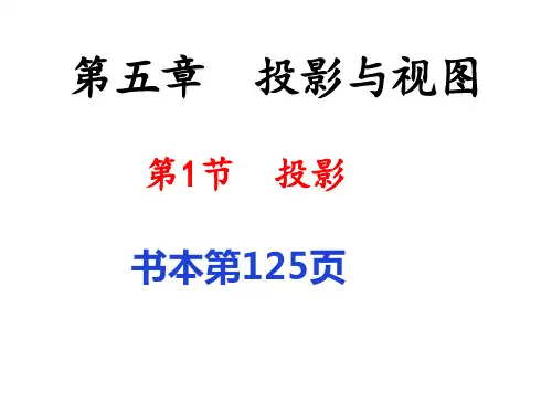 北师大版九年级数学上册投影课件