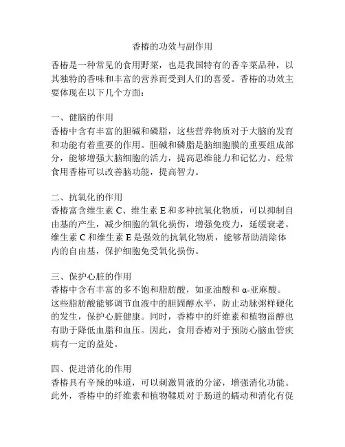 香椿的功效与副作用