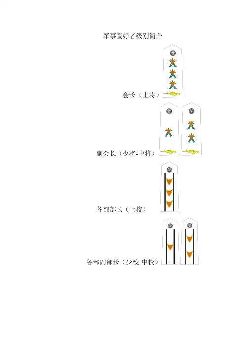 新乡学院军事爱好者职务军衔和各部标志