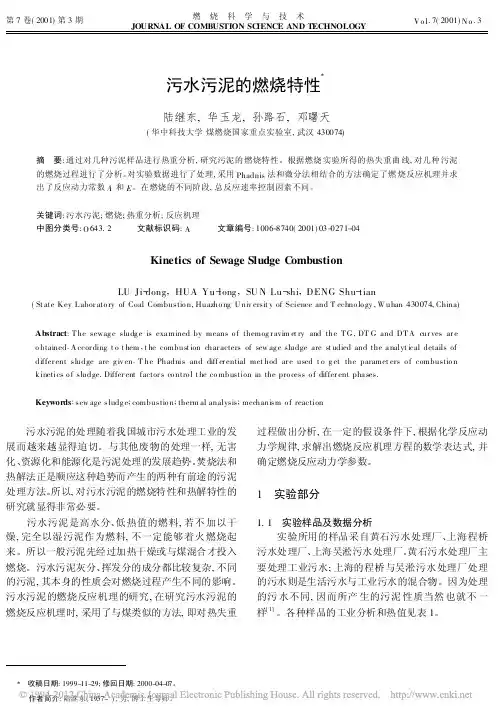 污水污泥的燃烧特性_陆继东