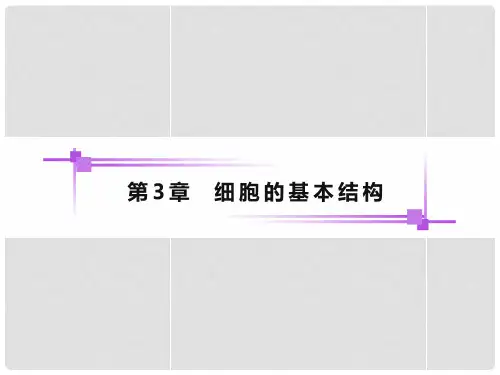 高考生物一轮复习 第三章 第1、3节细胞膜系统的边界 