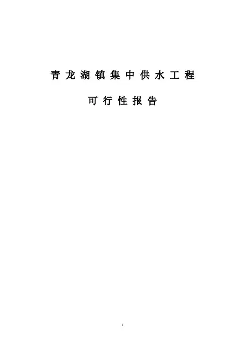 集中供水工程可行性报告