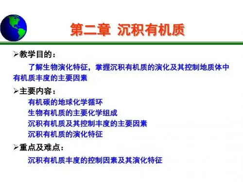 油气地球化学-第二章-沉积有机质