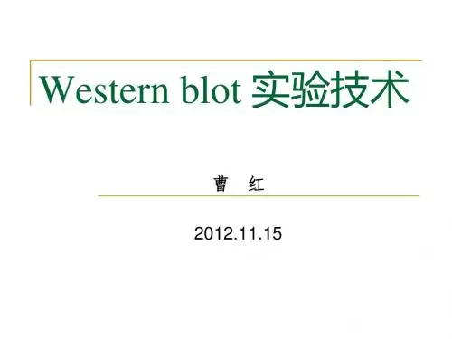 Western_blot_实验技术-20121115(精)
