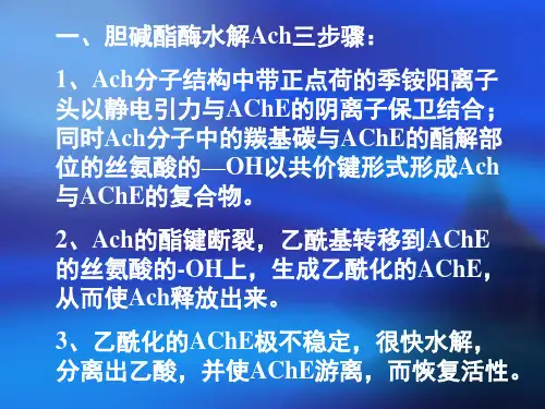 医学专题抗胆碱脂酶药和胆碱酯酶复活药