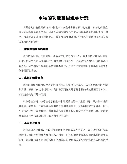 水稻的功能基因组学研究