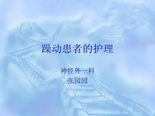躁动患者的护理 PPT课件 
