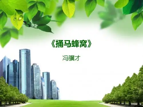 《捅马蜂窝》课件