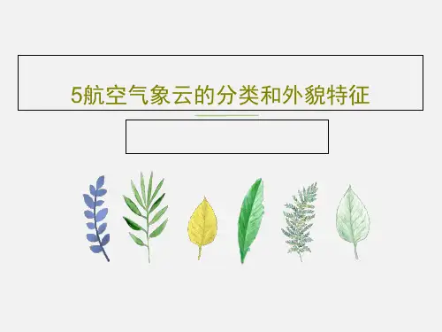 5航空气象云的分类和外貌特征PPT文档共90页