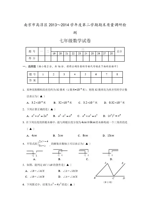 江苏省南京市高淳区2013-2014学年七年级下学期期末质量调研数学试题