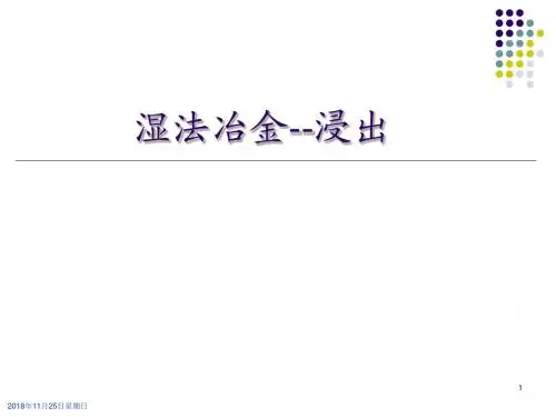 《湿法冶金浸出》PPT课件