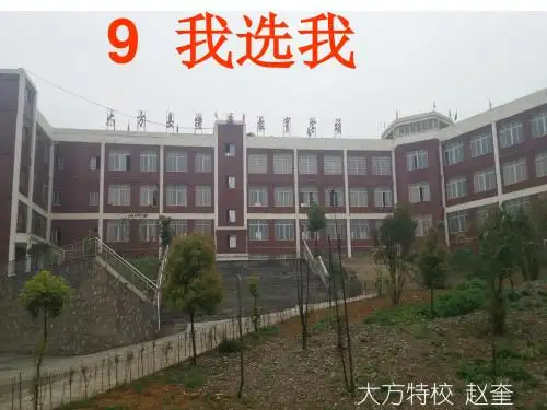小学语文二年级上：我选我ppt精品课件