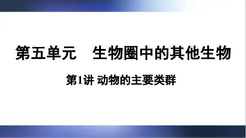八年级下册生物知识梳理第1讲  动物的主要类群