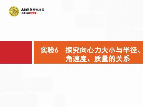 实验6 探究向心力大小与半径、角速度、质量的关系