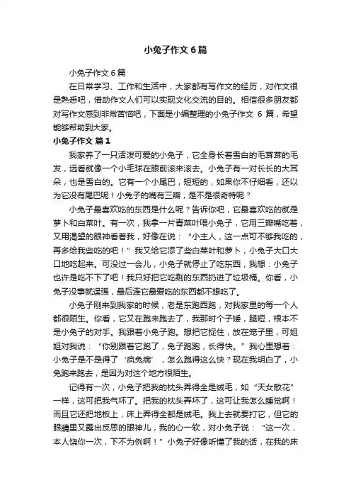 小兔子作文6篇