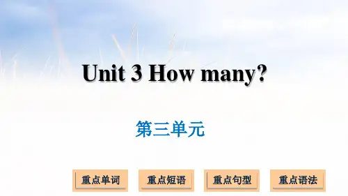 译林版(三起)四年级上册英语Unit 3 How many (共13张PPT)