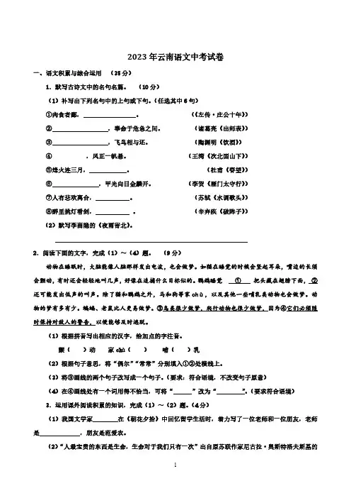 2023年云南语文中考试卷