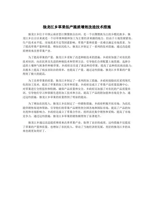 独龙江乡草果低产提质增效改造技术措施