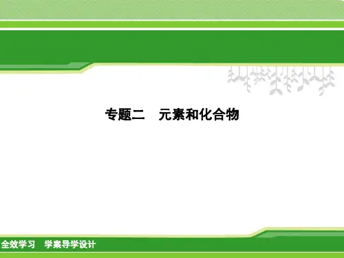 【最新华师大版】科学中学初中中考二轮复习专题讲解：(2)-元素和化合物ppt课件