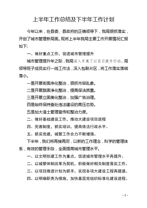 上半年工作总结及下半年工作计划 2