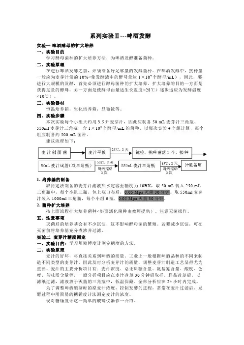 兰州大学发酵实验啤酒发酵实验
